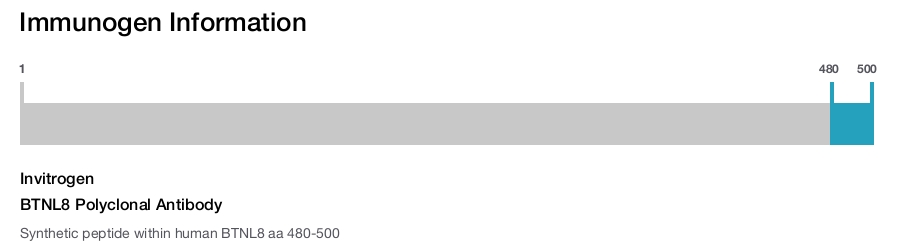 BTNL8 Polyclonal Antibody