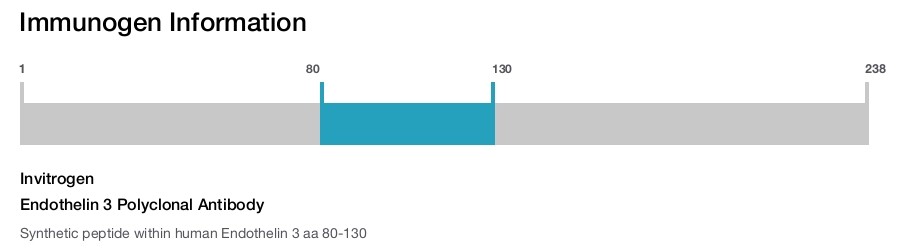 Endothelin 3 Polyclonal Antibody