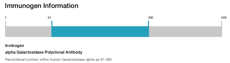 alpha Galactosidase Polyclonal Antibody