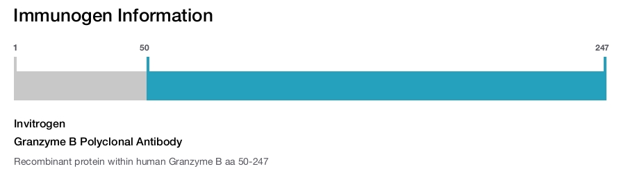 Granzyme B Polyclonal Antibody