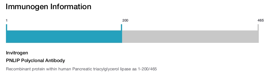 PNLIP Polyclonal Antibody