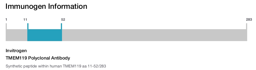 TMEM119 Polyclonal Antibody
