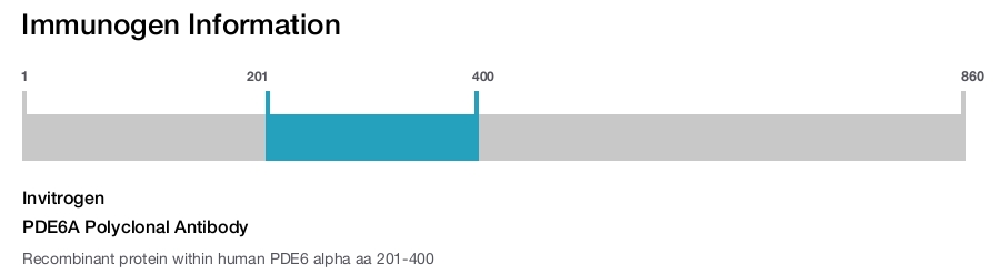 PDE6A Polyclonal Antibody