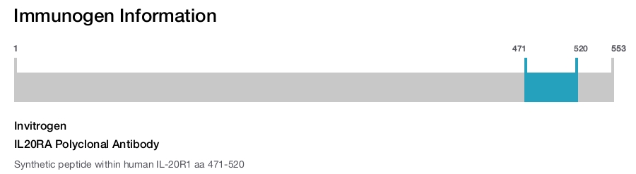 IL20RA Polyclonal Antibody
