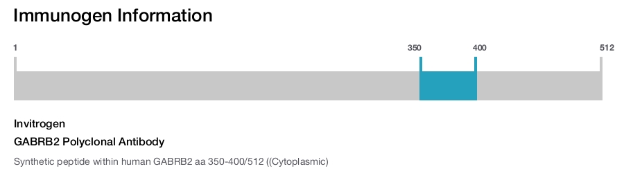 GABRB2 Polyclonal Antibody