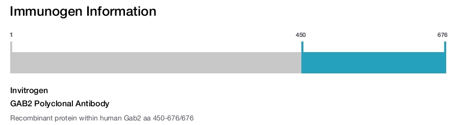 GAB2 Polyclonal Antibody