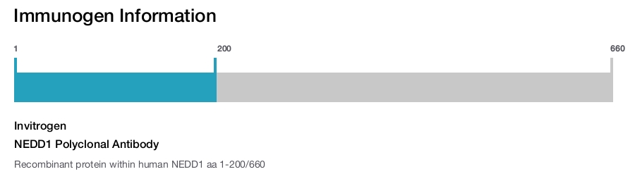 NEDD1 Polyclonal Antibody