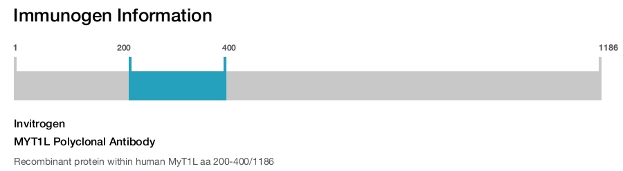 MYT1L Polyclonal Antibody
