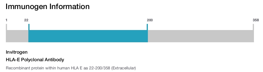 HLA-E Polyclonal Antibody