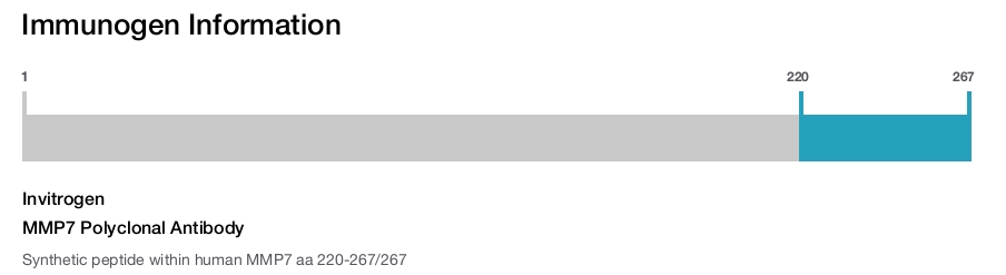 MMP7 Polyclonal Antibody