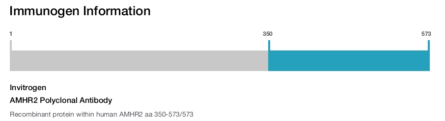 AMHR2 Polyclonal Antibody