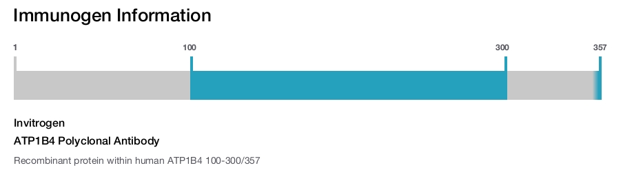 ATP1B4 Polyclonal Antibody