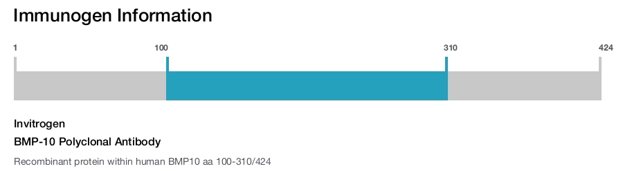 BMP-10 Polyclonal Antibody