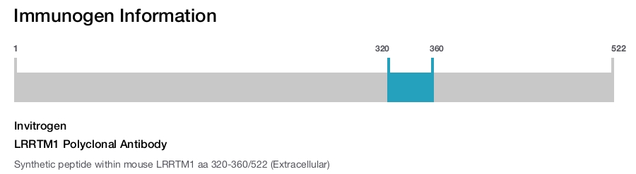 LRRTM1 Polyclonal Antibody