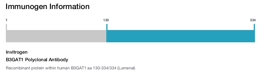 B3GAT1 Polyclonal Antibody