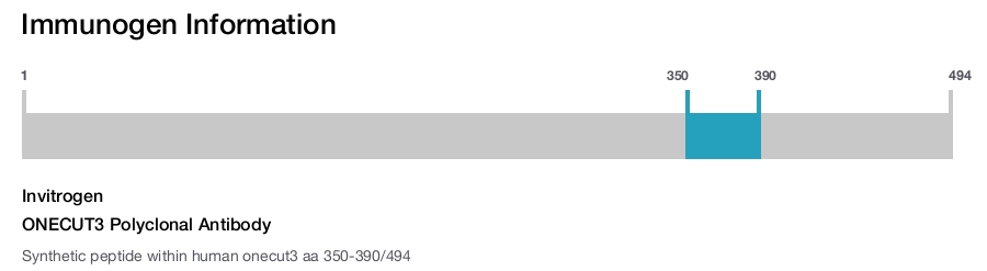 ONECUT3 Polyclonal Antibody