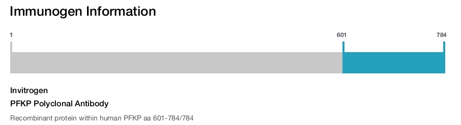 PFKP Polyclonal Antibody