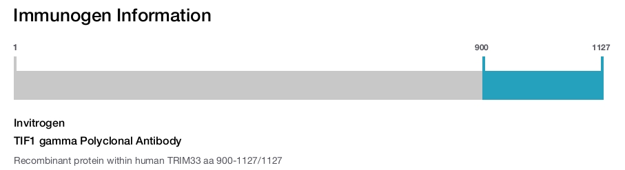 TIF1 gamma Polyclonal Antibody