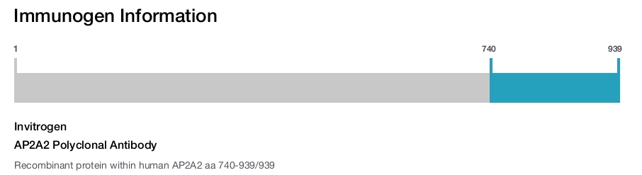AP2A2 Polyclonal Antibody