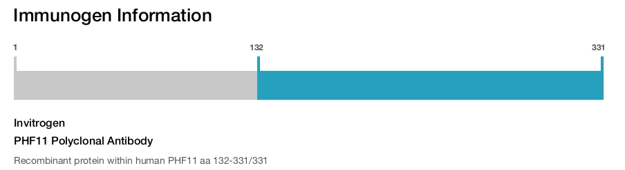 PHF11 Polyclonal Antibody