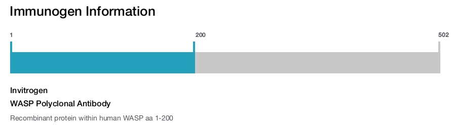 WASP Polyclonal Antibody