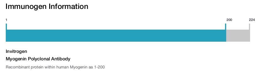 Myogenin Polyclonal Antibody