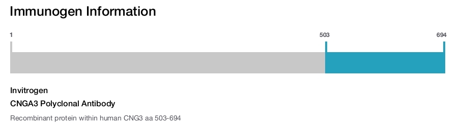 CNGA3 Polyclonal Antibody