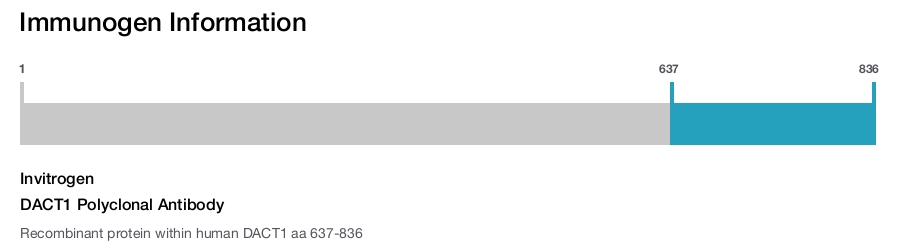 DACT1 Polyclonal Antibody