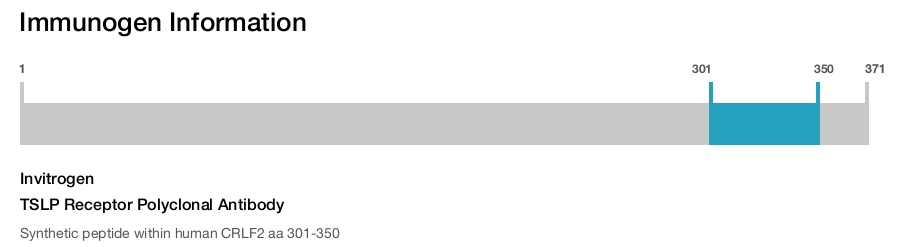 TSLP Receptor Polyclonal Antibody