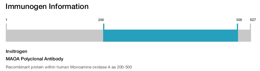 MAOA Polyclonal Antibody