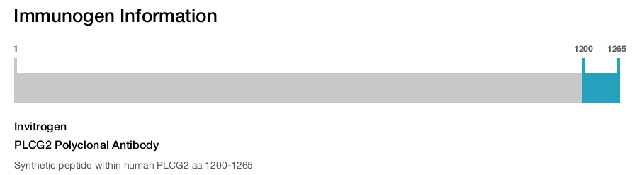 PLCG2 Polyclonal Antibody