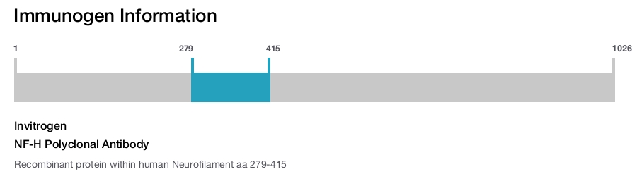 NF-H Polyclonal Antibody