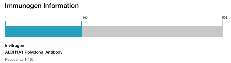 ALDH1A1 Polyclonal Antibody