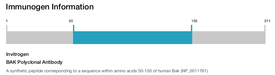 BAK Polyclonal Antibody