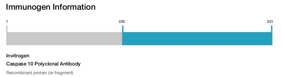 Caspase 10 Polyclonal Antibody