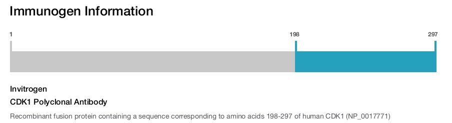 CDK1 Polyclonal Antibody