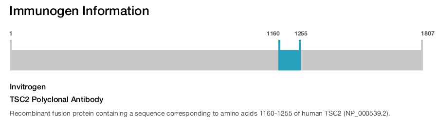 TSC2 Polyclonal Antibody