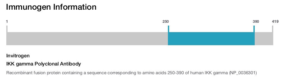 IKK gamma Polyclonal Antibody