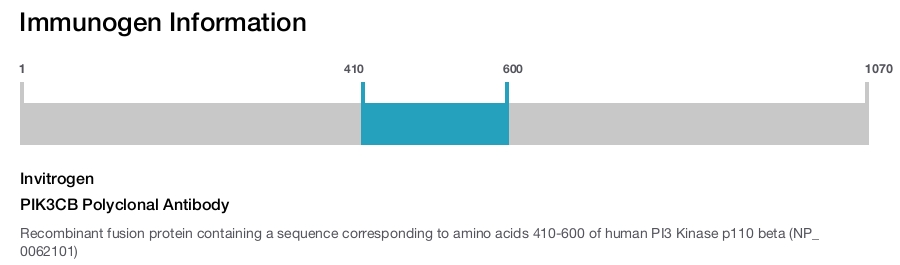 PIK3CB Polyclonal Antibody