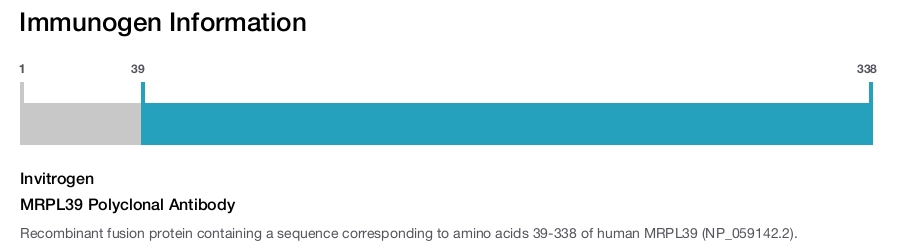 MRPL39 Polyclonal Antibody