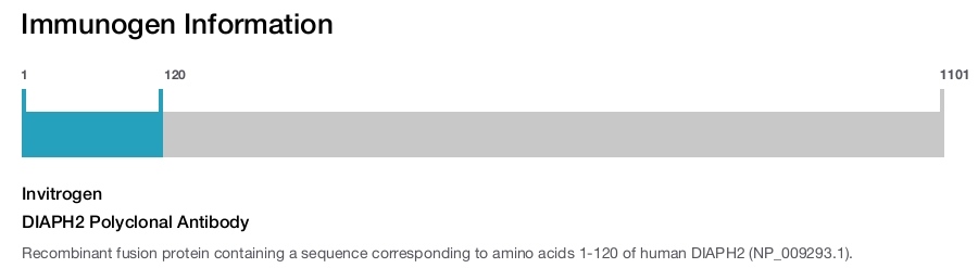 DIAPH2 Polyclonal Antibody