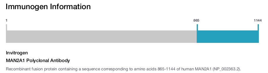 MAN2A1 Polyclonal Antibody