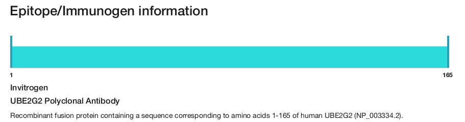 UBE2G2 Polyclonal Antibody