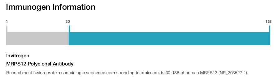 MRPS12 Polyclonal Antibody