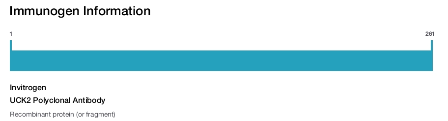 UCK2 Polyclonal Antibody