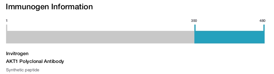 AKT1 Polyclonal Antibody