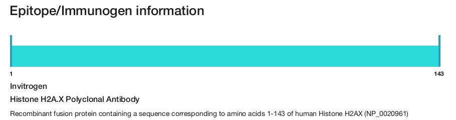 Histone H2A.X Polyclonal Antibody