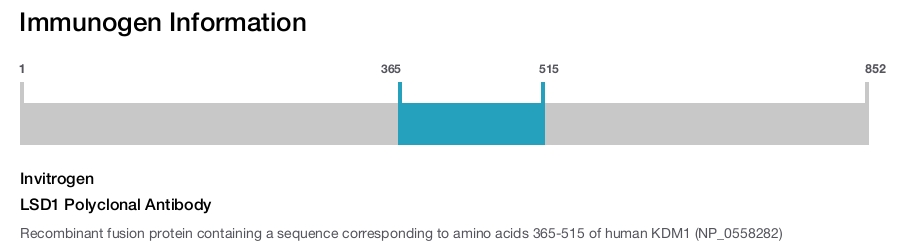 LSD1 Polyclonal Antibody