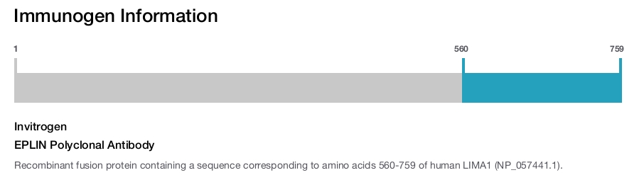 EPLIN Polyclonal Antibody