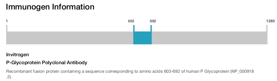 P-Glycoprotein Polyclonal Antibody